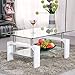 SUNCOO Rectangular Glass Coffee Table Shelf Wood Living Room Furniture Chrome Base (White)