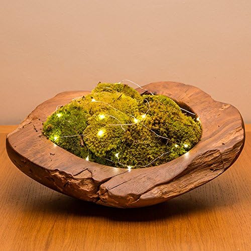The Urban Botanist Grande Botanical Moss Art Wooden Bowl (Wooden bowl