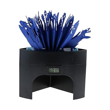 humidifier for bearded dragon