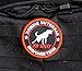 Zombie Outbreak Response Team K9 Patch