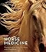 Horse Medicine by 