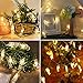 YUNLIN lnc 20 LED Photos Clips String Lights (10ft. Warm White) Battery Operated Fairy String Lights for Bedroom Hanging Photos,