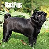 Black Pugs - 2017 Calendar 12 x 12in