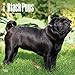 Black Pugs - 2017 Calendar 12 x 12in