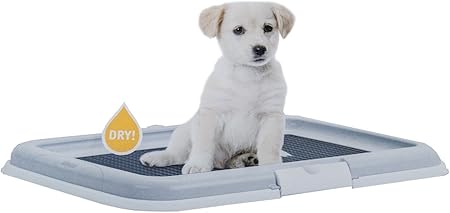 Stefanplast Litière Toilette Litière Pour Chat Chien Animaux Domestiques Litière Haquoss Trainer