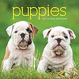 2017 Monthly Wall Calendar - Puppies Dogs