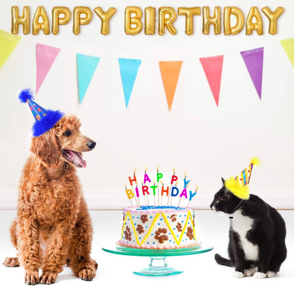 6 Pack Dog Party Hat Set - Cute Pet Cone Hats with Pompon for Dogs Cats Birthday Parties, Adjustable Colorful Caps Amazing Doggie Party Supplies Accessories : Kitchen & Dining