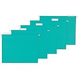AmazonBasics Hanging Folders, Letter Size, Aqua, 25-Pack