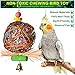 Myguru Bird Toys, Bird Chewing Bite Parrot Cage Toy for Small African Grey Macaws Cockatoos