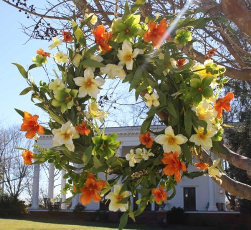 Summer Sunrise Wreath 22"
