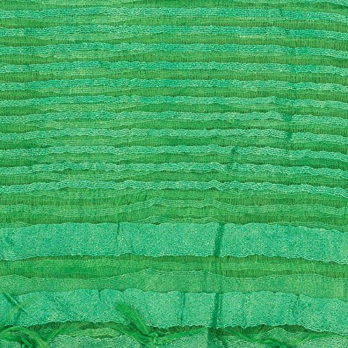 lodestone woman's net dupatta with strips