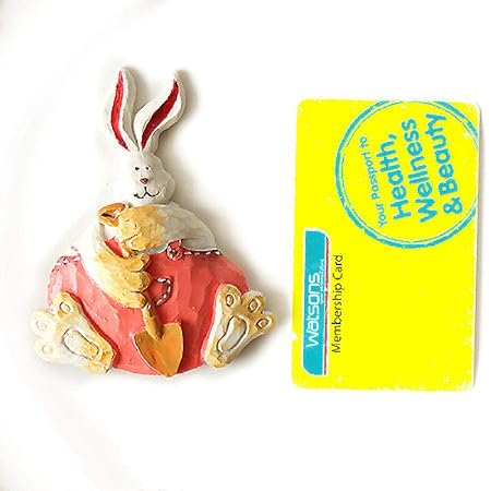 Dabaoliangfen 10 imanes de Nevera de Conejo Lindo Retro Imanes ...