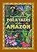 Folktales of the Amazon by 