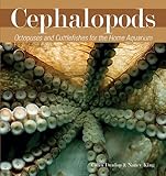 Cephalopods by Nancy King, Colin Dunlop