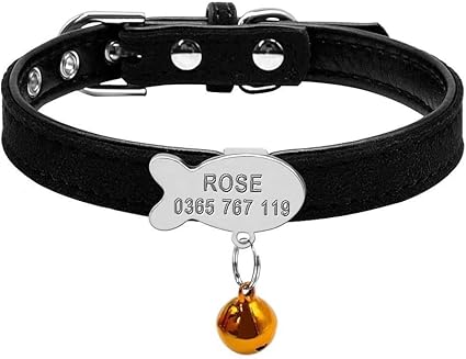 Berry Collier Rembourré Personnalisé Pour Animal Domestique En Cuir Et Velours Plaque En Forme De Poisson Avec Le Nom De Lanimal Parfait Pour