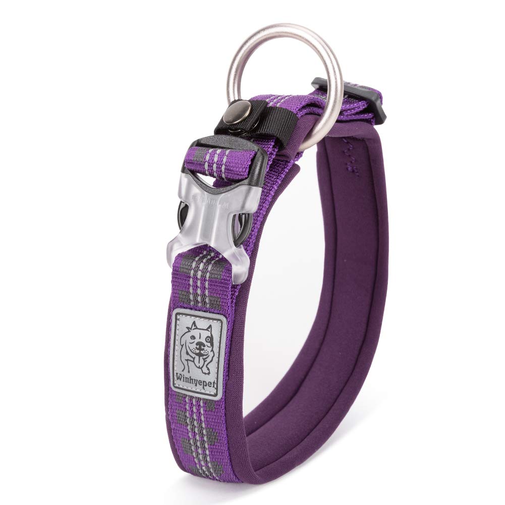 Which Is The Best 3M Reflective Dog Collar