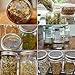 4 Pack Stainless Steel Sprouting Lids - 2 in 1 Superb Ventilation Stainless Steel Mesh Jar Sprouting Lid Kit for Wide Mouth Mason Jars Canning Jars for Making Organic Sprout Seeds in House/Kitchen
