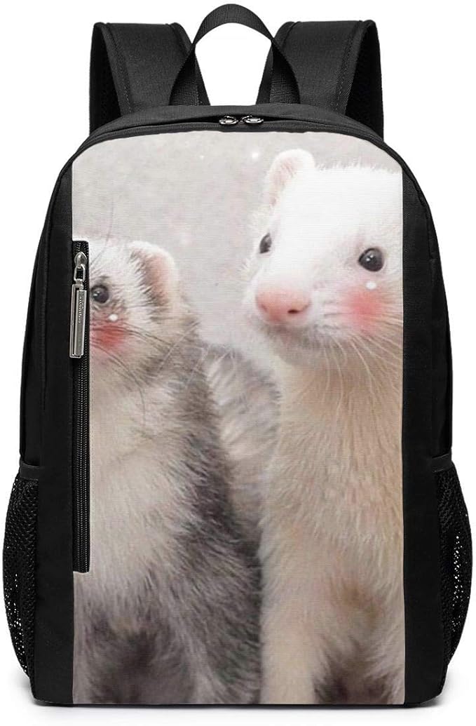ferret bag