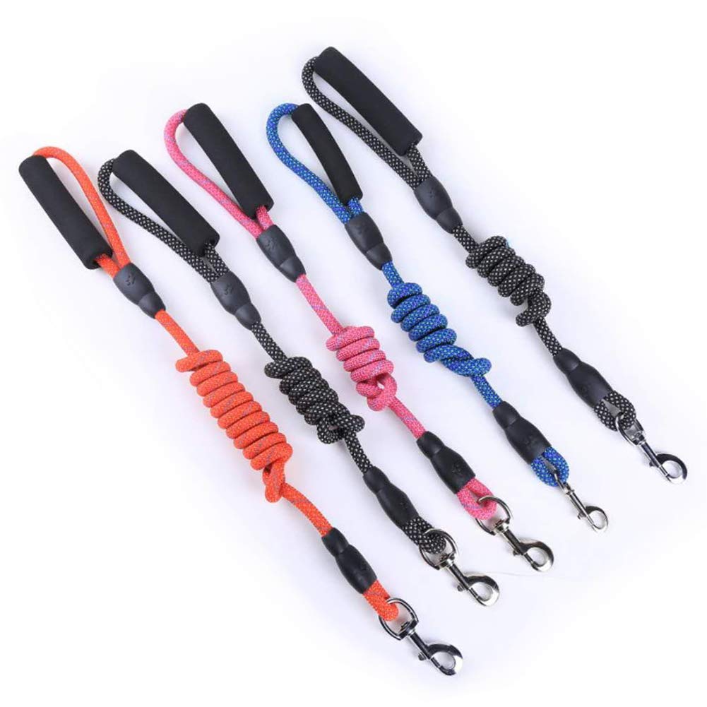 Dog Leash,Sturdy Nylon Dog Leash with Comfortable Padded Handle Reflective Leash for Night Safety.4/6ft Long - Perfect Leashes For for Small Medium Large Dogs (6 feet, Light Blue)