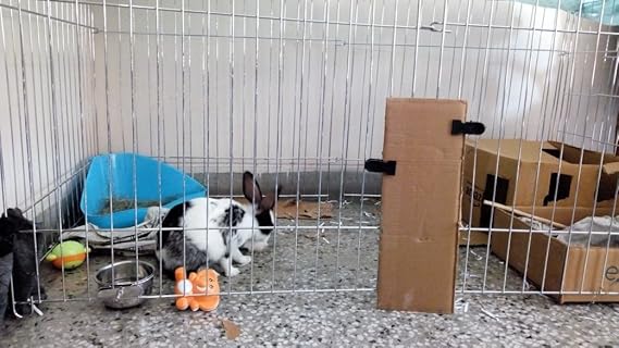 Birds' Park Fence Excercise Play Pen (Chrome, Medium)