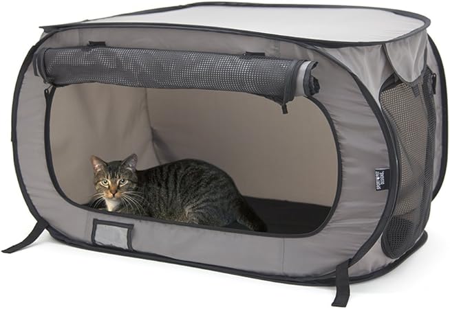 sport pet designs pop open dog kennel