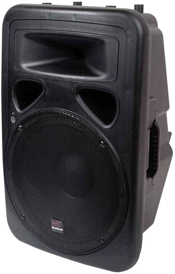 SWAMP 15" Powered PA Speaker Active Foldback Monitor BiAmped 200W