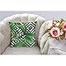 HGOD DESIGNS Palm Pillow Case, Summer Exotic Jungle Plant Tropical Palm Leaves on The Geometric Cotton Linen Cushion Cover Square Standard Home Decorative Throw Pillow 18x18 inch White Black Green