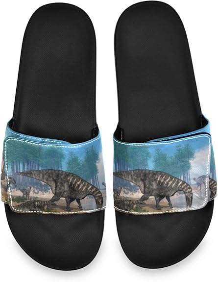 coach dinosaur slides