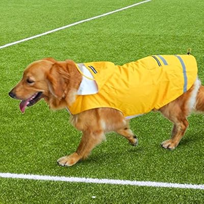 giant dog raincoat