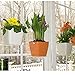 Aquaphoric Self Watering Planter (5”) + Fiber Soil = Foolproof Indoor Home Garden. Decorative Planter Pot for All Plants, Flowers, Herbs, African
