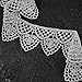 1-1/2 Inch Metallic Silver Lace Trim for Bridal, Costume or Jewelry, Crafts and Sewing by 1 Yard, SMB-12544