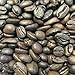 Fresh Roasted Coffee, Organic White Knight | USDA Organic, Kosher | Light Roast 2 lb (32 oz), Whole Bean