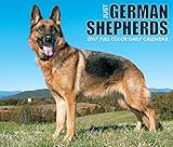 Just German Shepherds 2017 Box Calendar (Dog Breed Calendars)