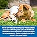 Comfort Zone Adaptil Collar, Large Dog, 1 Pack, for Dog Calming