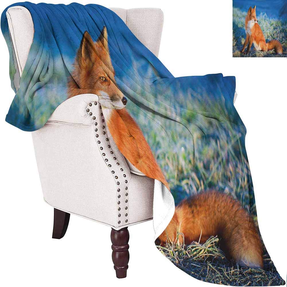 MKOK Fox Rugged or Durable Camping Blanket Serene Autumn Field in Cold Morning with Fox Nature Scenery Grass Perspicacious Warm and Washable W70 x L70 Inch Blue White Orange