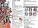 Monster High Werecat Twin Sisters - Meowlody and Purrsephone