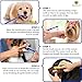 SunGrow Dog Toothbrush Set, 2 Dual-Headed Brush and 2 Finger Brushes, Freshens Dog's Breath, Vet and Pet Groomer Recommended, 4 Pack