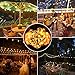 arzerlize Outdoor String Lights LED for Patio, 35FT Premium 30+2 Bulbs Globe Backyard String Lights 0.1W- IP65 Waterproof Shatterproof String Lighting Outside Indoor for Bistro Christmas Decorative