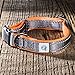 Embark Adventure Dog Collar with Soft Padded Neck, Matching Set with The Adventure Leash and Harness, Pet Collars for Dogs & Most Breeds - Dog Collar for Large Dogs (Large Dog Collars, Orange)