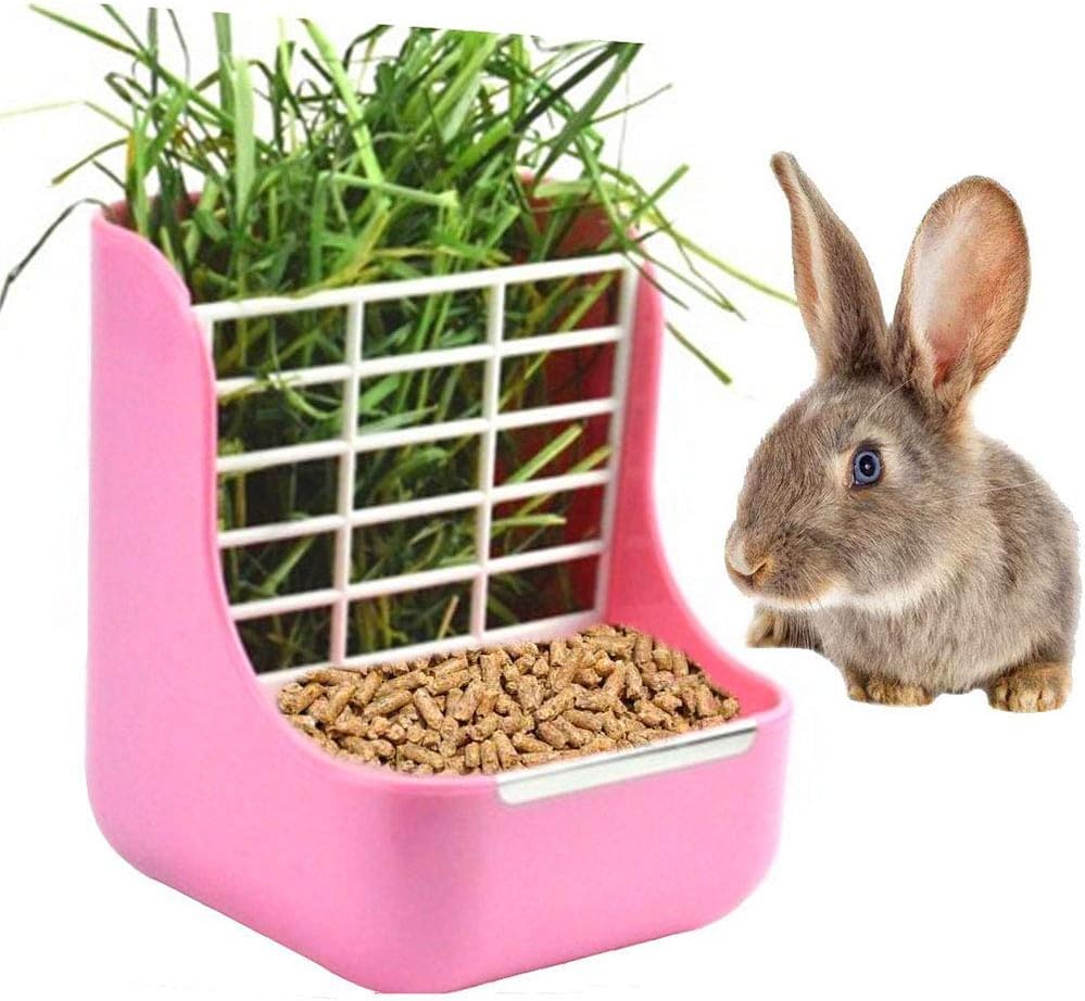 rabbit selling outlets