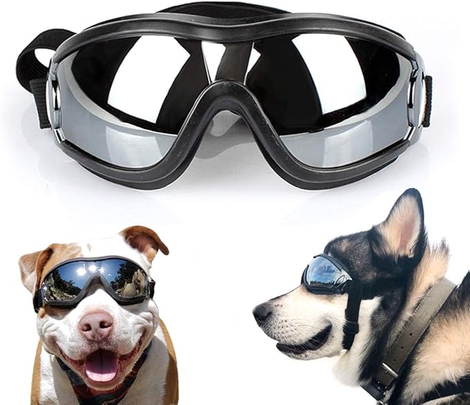 dog goggles for pannus