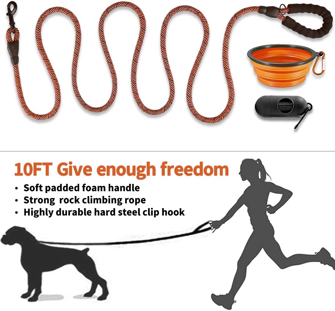 10 ft leash