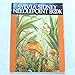Sylvia Sidney needlepoint book by 
