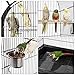 Yaheetech 59-inch Dome Open Top Large Medium Parrot Bird Cage On Stand for Sun Parakeets Conures Quaker Parrot Rolling Cockatiel Bird Cage