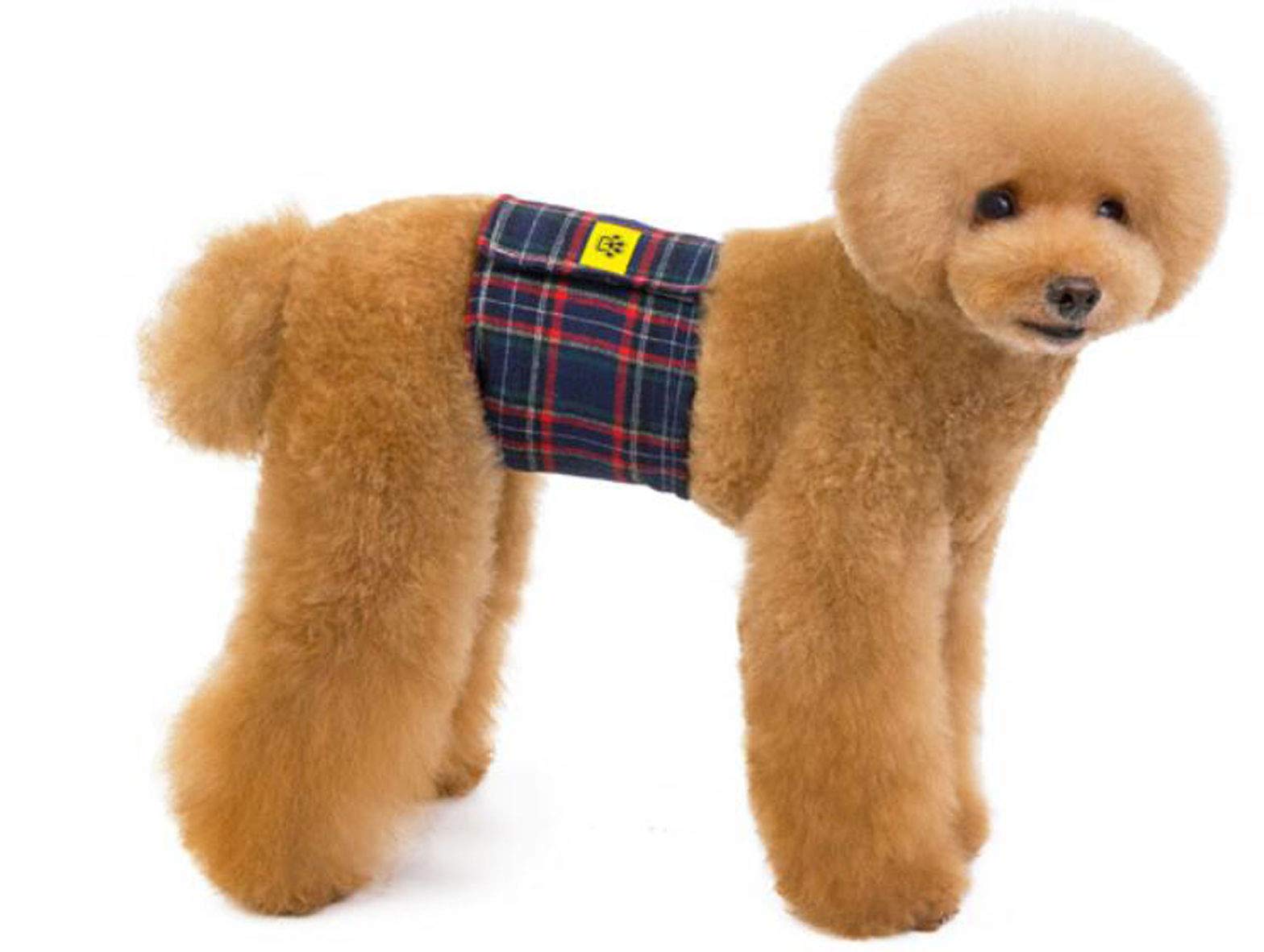 Mua ふく福 ペット犬用 マナーバンド 犬のおむつ マナーパンツ 快適な腹巻き 男の子用 再利用可能 失禁 おしっこ 老 犬 介護 嫌がらせを防ぐ 雄犬 グリッド 柄 1個 色ランダム M 32 38cm Tren Amazon Nhật Chinh Hang 21 Fado