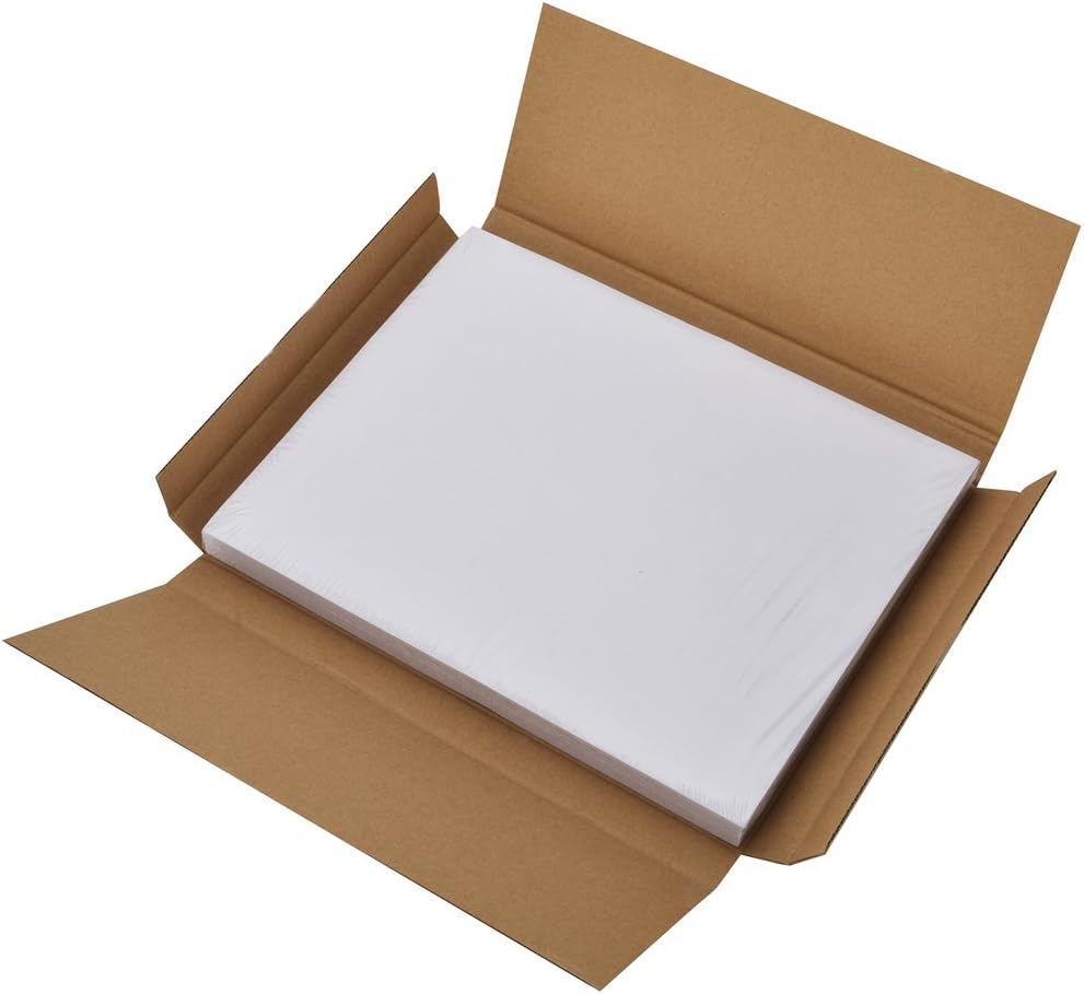 9527 Product 100 Sheets Sticker Labels Shipping Address Labels for Laser/Ink Jet Printer, 100 Labels. : Office Products
