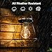 Solar Lanterns Outdoor Hanging - Sunwind LED Garden Table Lamps Solar Powered Edison Filament Bulbs for Patio Backyard Courtyard Lawn Landscape Decor (A60 Filament Bulb)