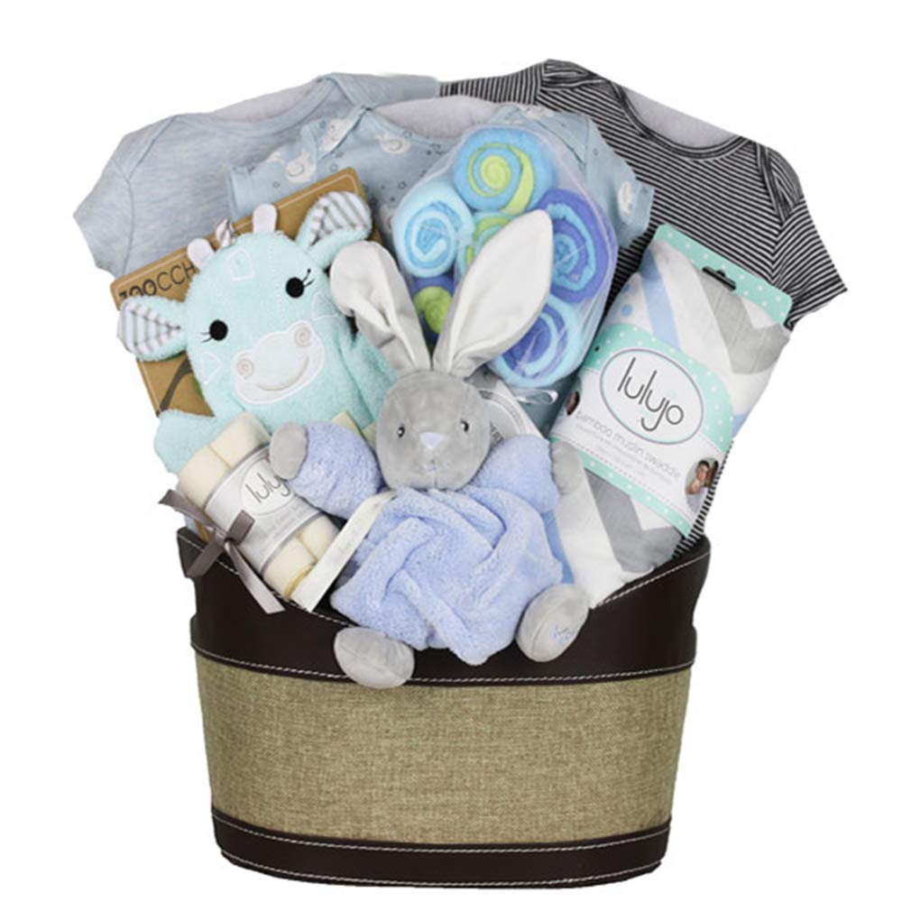 infant gift basket