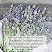 Scentations Potpourri - White Linen & Lavender Legacy No. 07, Scented, 8 oz Bag