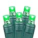 Novelty Lights 11ft 50 LED Green Christmas Lights Outdoor/Indoor, 2.5